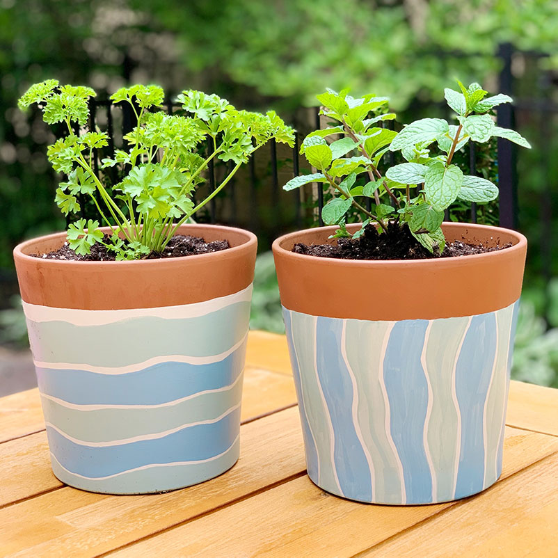 How to Paint a Terracotta Pot for Herbs