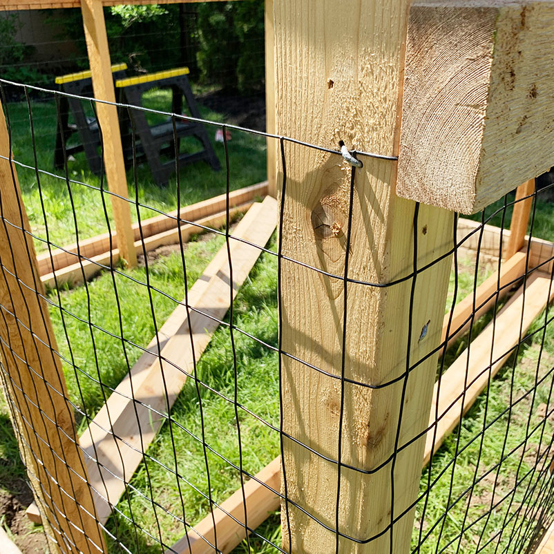 garden wire fencing stapled into outside of cedar enclosure